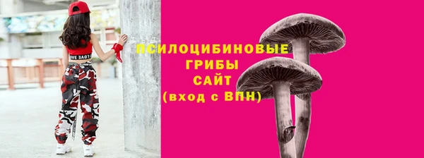 герыч Алексин