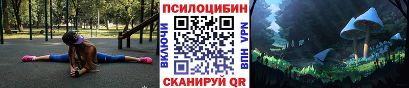 закладка  Павловская  Псилоцибиновые грибы Psilocybine cubensis 